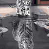 Reflection Cat Tiger  Paint By Number Kit - Painting By Number