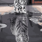 Reflection Cat Tiger  Paint By Number Kit - Painting By Number