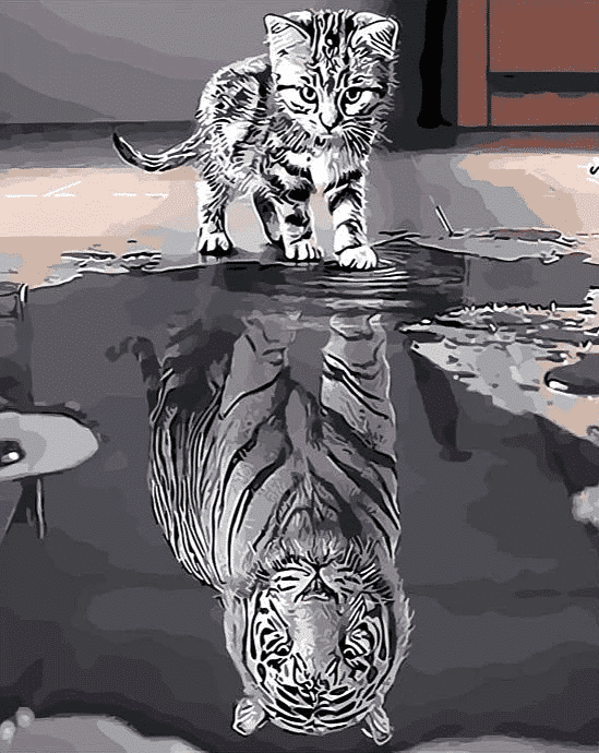 Reflection Cat Tiger  Paint By Number Kit - Painting By Number