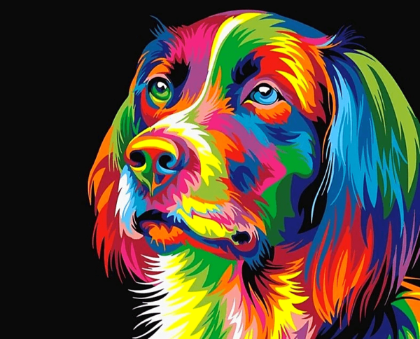 Paint by Numbers Kit Abstract Dog - Painting By Number