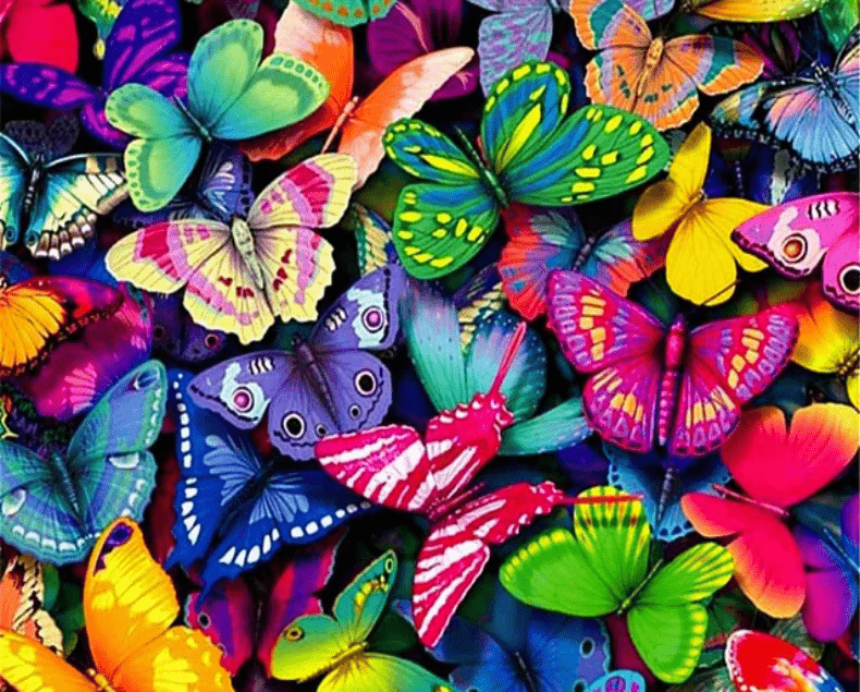 Colorful Butterflies Paint By Number Kit - Painting By Number