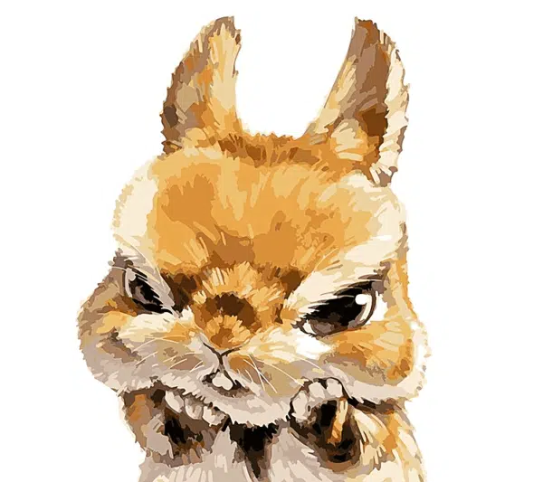 Paint by Numbers Kit for Kids Bunny
