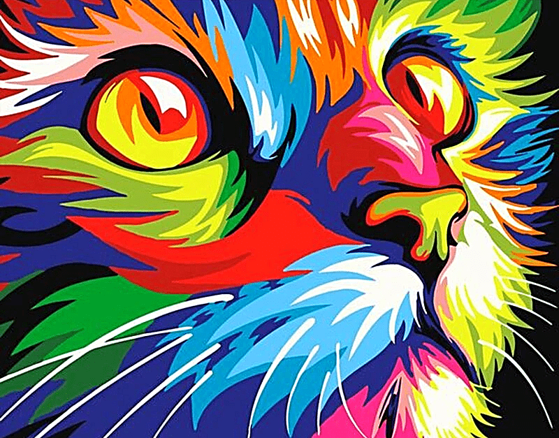 Paint by Numbers Kit Colorful Cat - Painting By Number