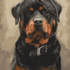 Paint by Numbers Kit Rottweiler Dog - Painting By Number