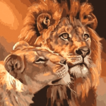 Lions together Paint By Number Kit - Painting By Number