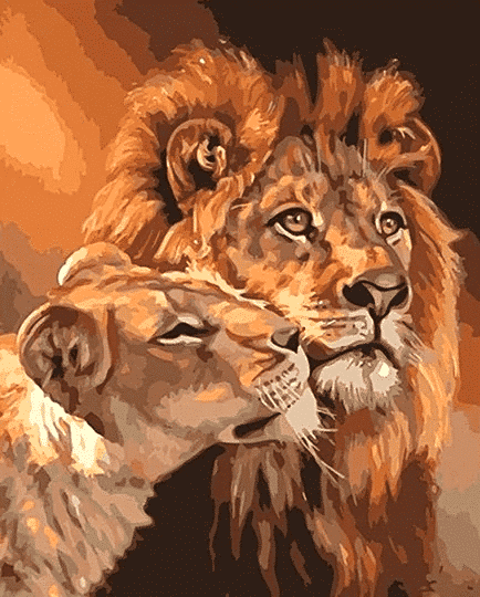 Lions together Paint By Number Kit - Painting By Number