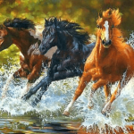 Paint by Numbers Kit Horses Running - Painting By Number