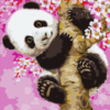 Paint By Number Kit Kids Cherry Panda - Painting By Number