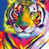 Colorful Abstract Tiger Paint By Number Kit - Painting By Number