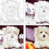 Paint by Number Kit White Cute Dog - Painting By Number