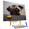 Paint by Numbers Kit Pug