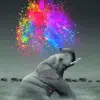 Paint By Numbers Kit Colorful Elephant - Painting By Number