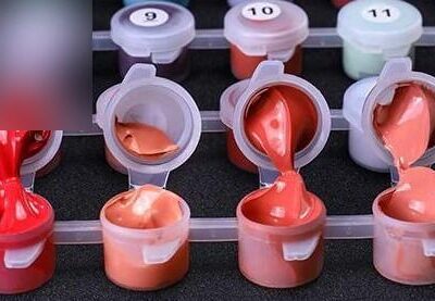 Paint by Number Kit White Cute Dog - Painting By Number