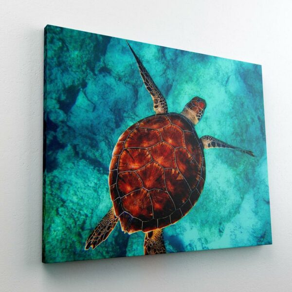 Paint by Numbers Kit Turtle Sea - Painting By Number