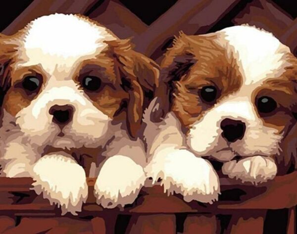 Two Puppies Paint by Numbers Kit - Painting By Number