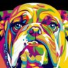 Abstract Bull Dog Paint by Numbers Kit - Painting By Number