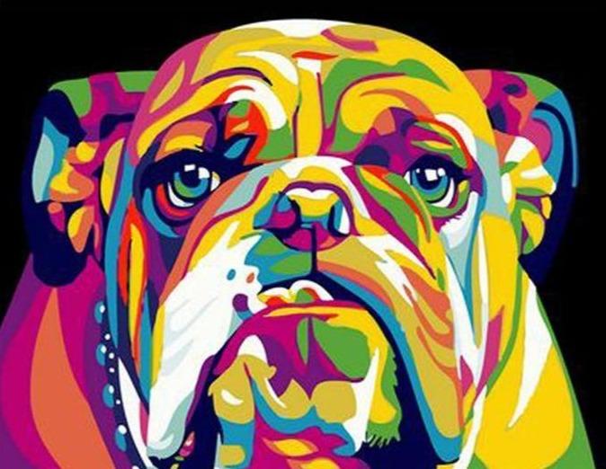 Abstract Bull Dog Paint by Numbers Kit - Painting By Number