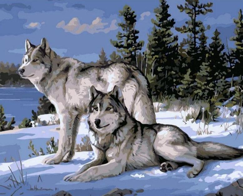 Two Wolves Paint by Numbers Kit - Painting By Number