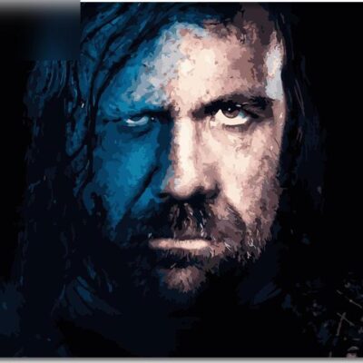 Sandor "The Hound" Clegane from Game of Thrones Paint by Numbers Kit - Painting By Number