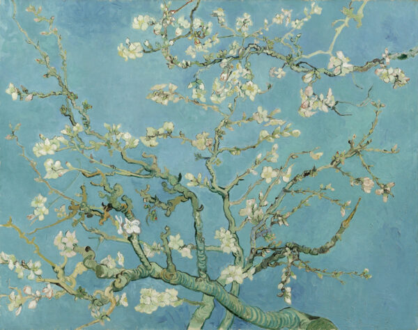 Almond Blossom by Van Gogh - Paint by Numbers Kit