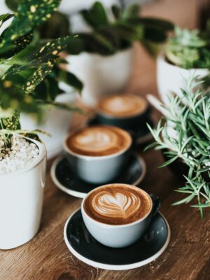 Kitchen/Dining Collection