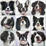 Dog DIY Diamond Animal Painting Kits Diamond Painting Kit - DIY Art