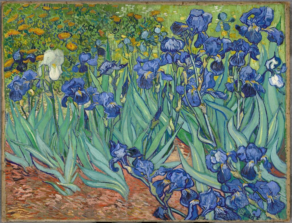 Irises by Van Gogh - Paint by Numbers Kit