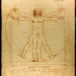 Vitruvian Man by Da Vinci - Paint by Numbers Kit