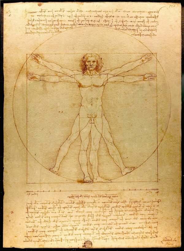 Vitruvian Man by Da Vinci - Paint by Numbers Kit