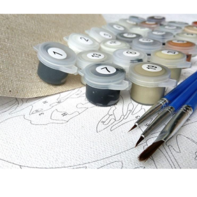 Wonder Castle - Paint by Numbers Kit