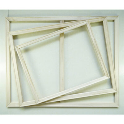 A Proud Lion - Paint by Numbers Kit