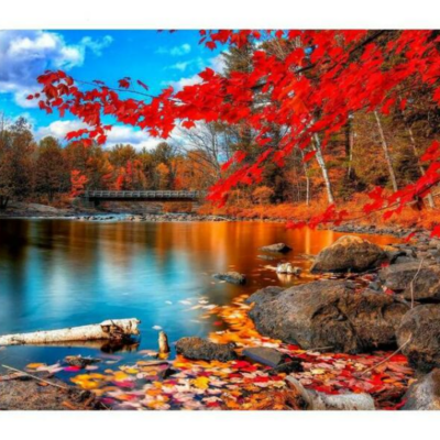 A Season Of Fall - Paint by Numbers Kit