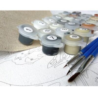 Baby Owl - Paint by Numbers Kit