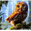 Baby Owl - Paint by Numbers Kit