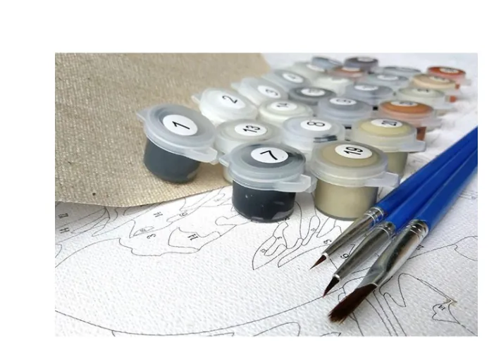 Pintar por Números Personalizado — Retrato de Gato desde Foto
