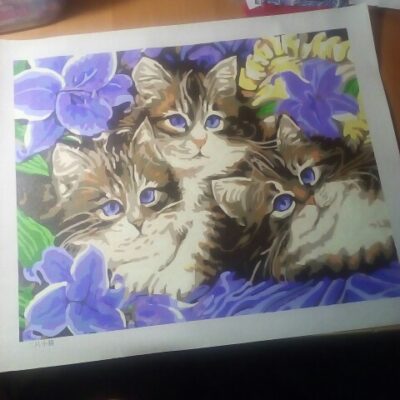 Three Cute Kittens Paint by Numbers
