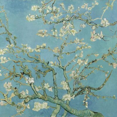 Almond Blossom by Van Gogh - Paint by Numbers Kit