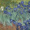 Irises by Van Gogh - Paint by Numbers Kit