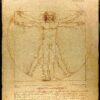 Vitruvian Man by Da Vinci - Paint by Numbers Kit