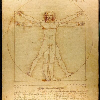 Vitruvian Man by Da Vinci - Paint by Numbers Kit