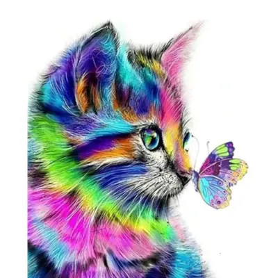 Rainbow Kitten & Butterfly - Paint by Numbers Kit