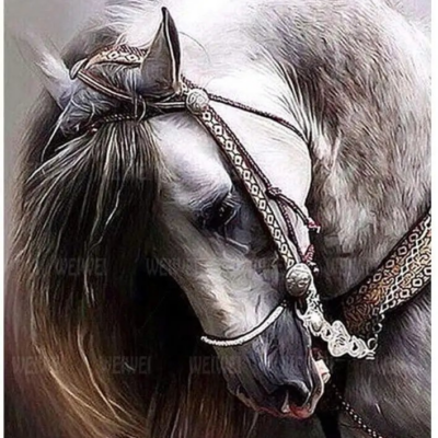 5D DIYHorse Art Kits for Adults Diamond Painting Kit - DIY Art