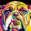 Paint by Numbers Kit Colorful Bull Dog - Painting By Number
