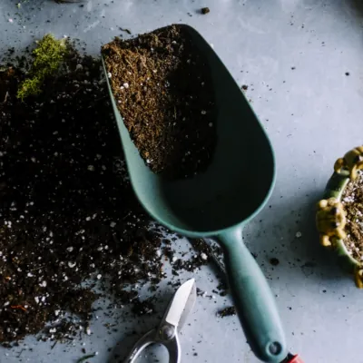 Set Jardín Botánico — Pintar por Números para Salón