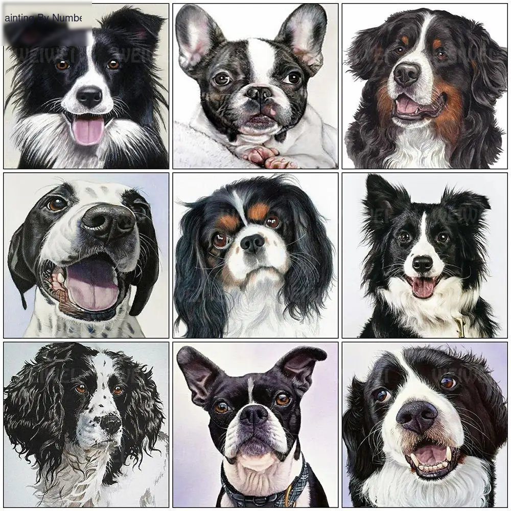 Dog DIY Diamond Animal Painting Kits Diamond Painting Kit - DIY Art