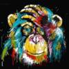 Abstract Monkey Paint by Numbers Kit