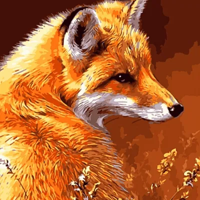 Paint by Number Kit Fox Paint by Numbers Kit