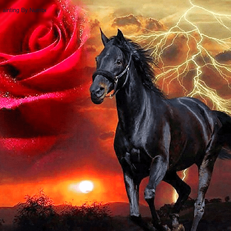 Black Horse & Red Rose Paint by Numbers Kit - DIY Art
