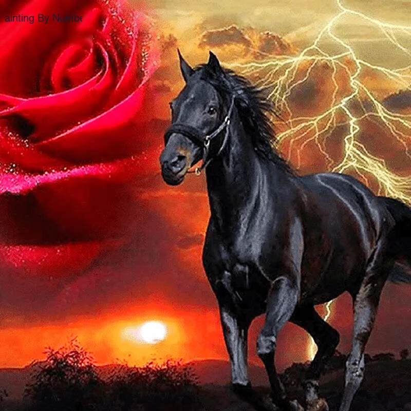 Black Horse & Red Rose Paint by Numbers Kit - DIY Art