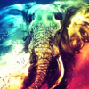 Paint by Numbers Kit Abstract Colorful Elephant